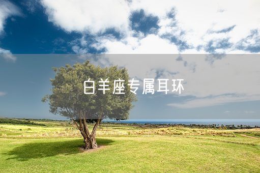 白羊座专属耳环(图1)