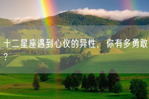 十二星座遇到心仪的异性，你有多勇敢？(图1)
