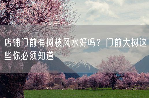 店铺门前有树枝风水好吗？门前大树这些你必须知道(图1)