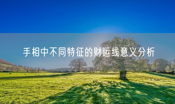 手相中不同特征的财运线意义分析(图1)