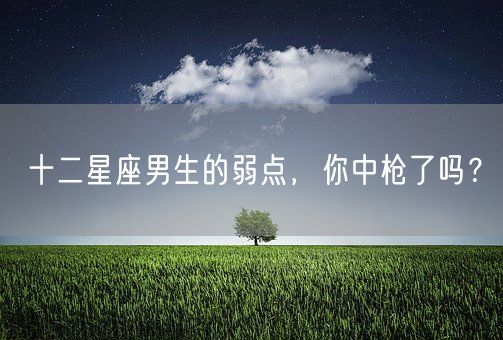 十二星座男生的弱点，你中枪了吗？(图1)