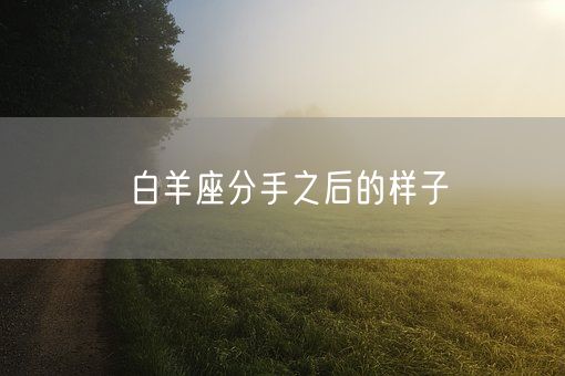 白羊座分手之后的样子(图1)