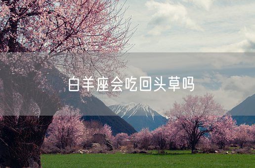白羊座会吃回头草吗(图1)