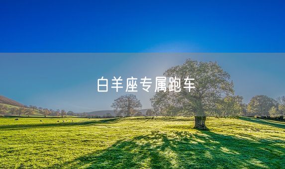 白羊座专属跑车(图1)