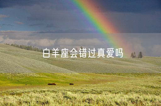 白羊座会错过真爱吗(图1)