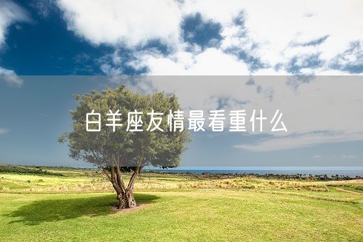 白羊座友情最看重什么(图1)