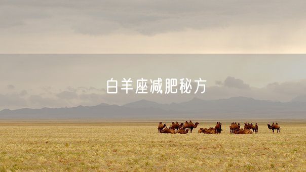 白羊座减肥秘方(图1)