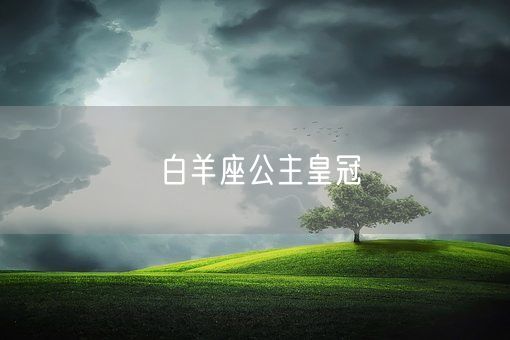 白羊座公主皇冠(图1)