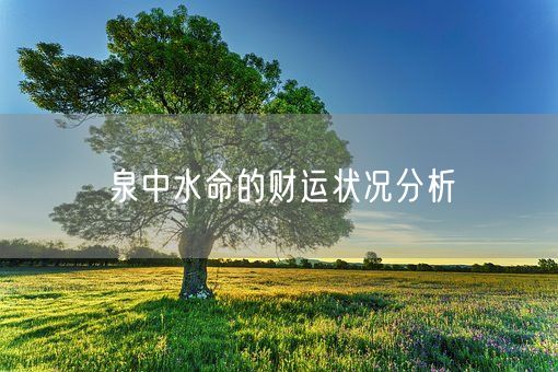 泉中水命的财运状况分析(图1)