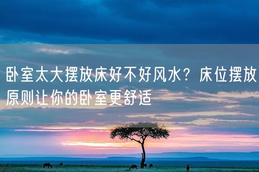 卧室太大摆放床好不好风水？床位摆放原则让你的卧室更舒适(图1)
