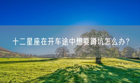 十二星座在开车途中想要蹲坑怎么办？(图1)