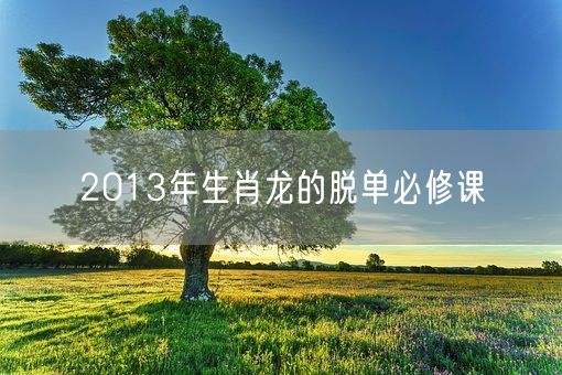 2013年生肖龙的脱单必修课(图1)