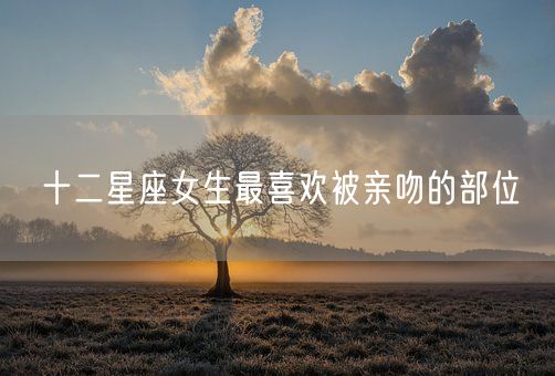 十二星座女生最喜欢被亲吻的部位(图1)