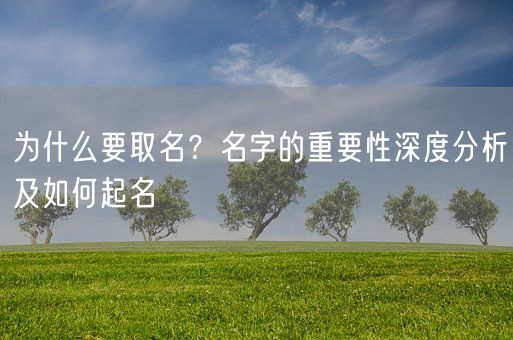 为什么要取名？名字的重要性深度分析及如何起名(图1)