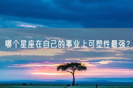 哪个星座在自己的事业上可塑性最强？(图1)