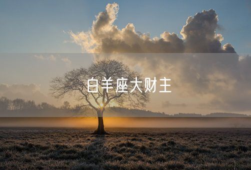 白羊座大财主(图1)