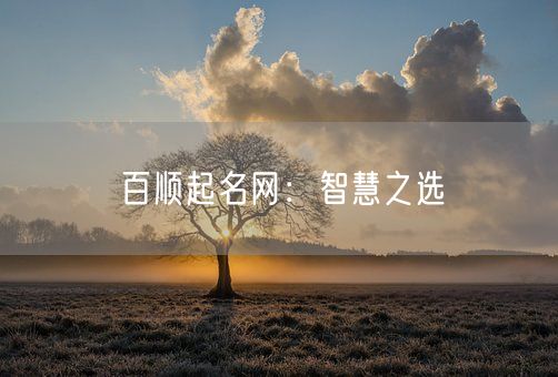 百顺起名网：智慧之选(图1)