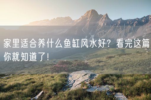 家里适合养什么鱼缸风水好？看完这篇你就知道了！(图1)