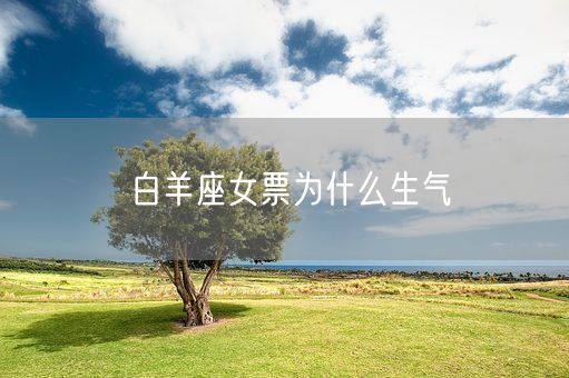 白羊座女票为什么生气(图1)