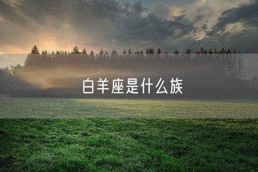白羊座是什么族(图1)
