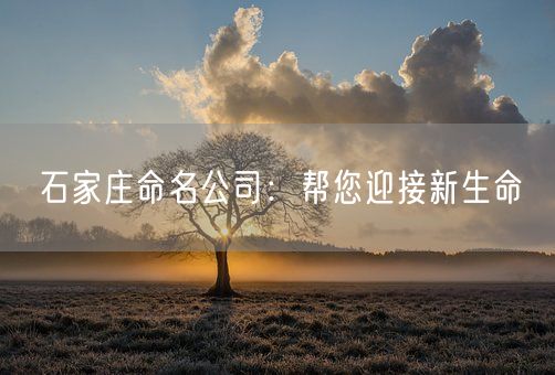 石家庄命名公司：帮您迎接新生命(图1)