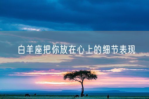 白羊座把你放在心上的细节表现(图1)