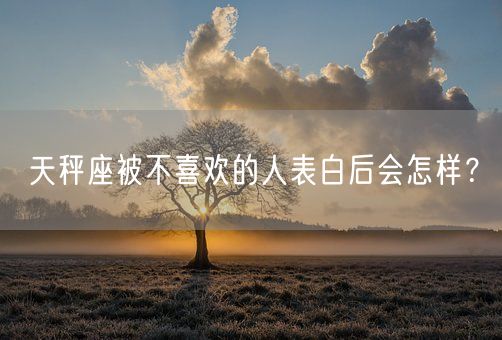 天秤座被不喜欢的人表白后会怎样？(图1)