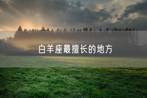 白羊座最擅长的地方(图1)