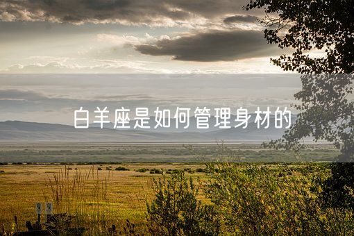 白羊座是如何管理身材的(图1)