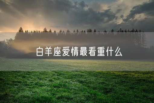 白羊座爱情最看重什么(图1)