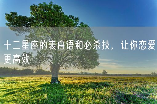 十二星座的表白语和必杀技，让你恋爱更高效(图1)