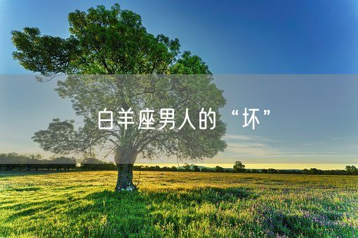 白羊座男人的“坏”(图1)