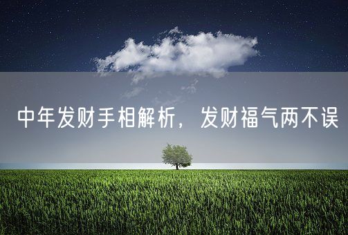 中年发财手相解析，发财福气两不误(图1)