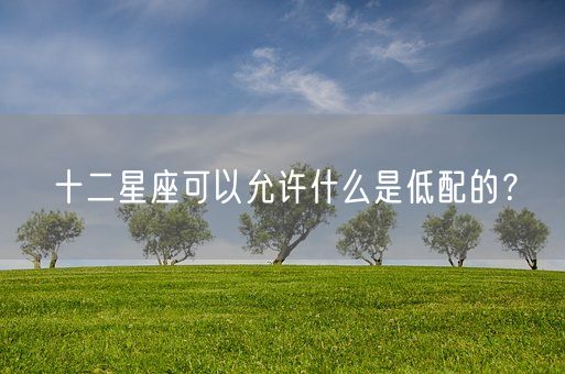 十二星座可以允许什么是低配的？(图1)