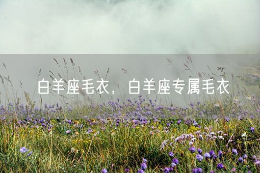 白羊座毛衣，白羊座专属毛衣(图1)