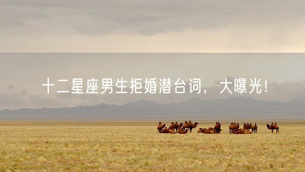 十二星座男生拒婚潜台词，大曝光！(图1)