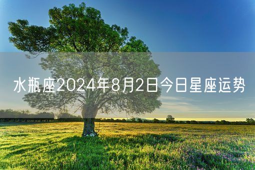 水瓶座2024年8月2日今日星座运势(图1)