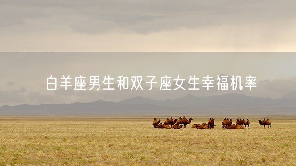 白羊座男生和双子座女生幸福机率(图1)