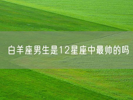 白羊座男生是12星座中最帅的吗(图1)