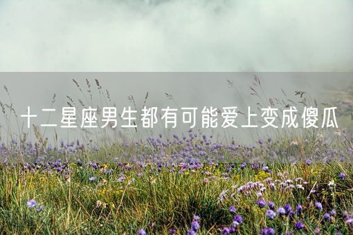 十二星座男生都有可能爱上变成傻瓜(图1)