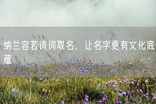 纳兰容若诗词取名，让名字更有文化底蕴(图1)