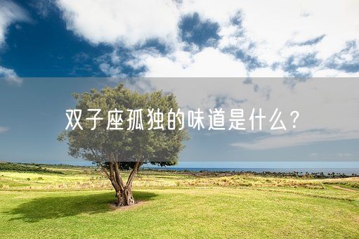 双子座孤独的味道是什么？(图1)