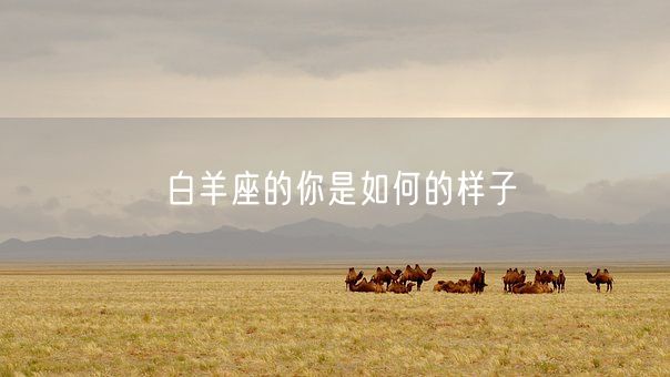 白羊座的你是如何的样子(图1)