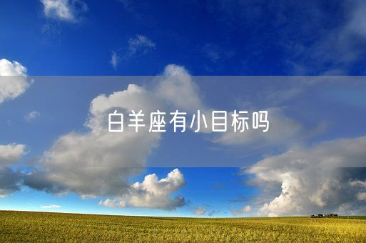 白羊座有小目标吗(图1)