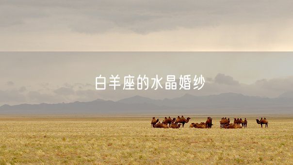 白羊座的水晶婚纱(图1)