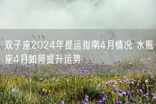 双子座2024年提运指南4月情况 水瓶座4月如何提升运势(图1)