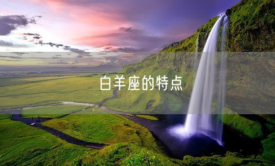 白羊座的特点(图1)