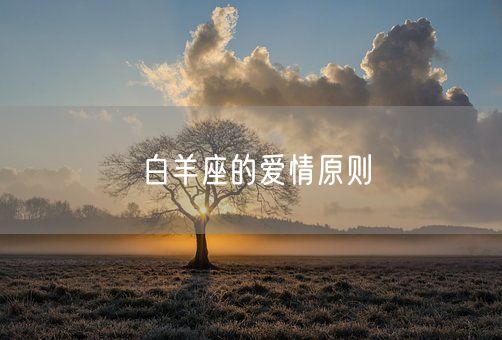 白羊座的爱情原则(图1)