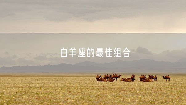 白羊座的最佳组合(图1)