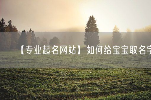 【专业起名网站】如何给宝宝取名字(图1)